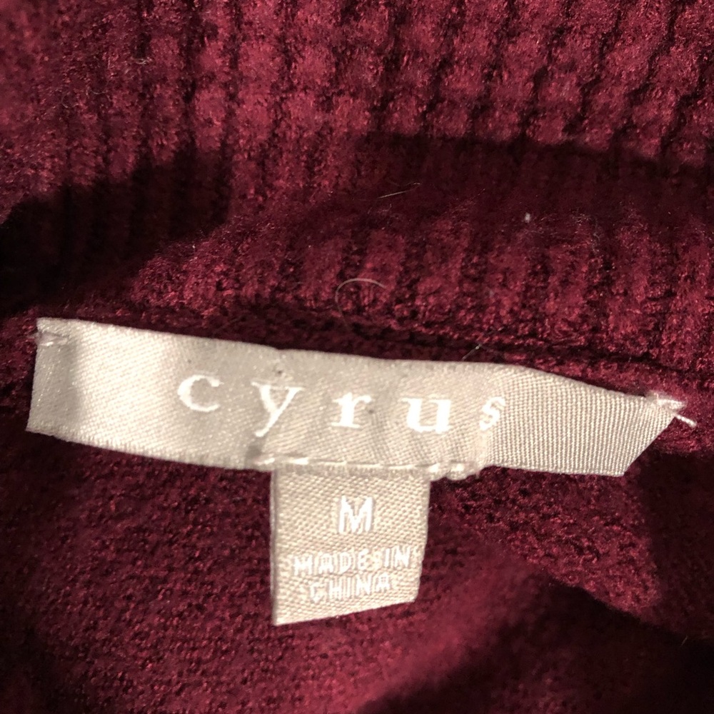 Cyrus Burgundy Cowl Neck Sweater - Picture 10 of 10